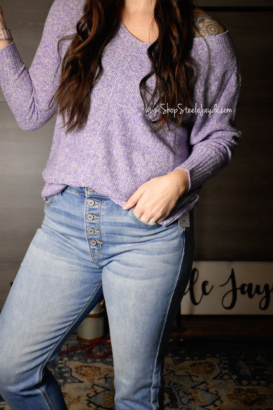Braun Lightweight Sweater Top {Taro}
