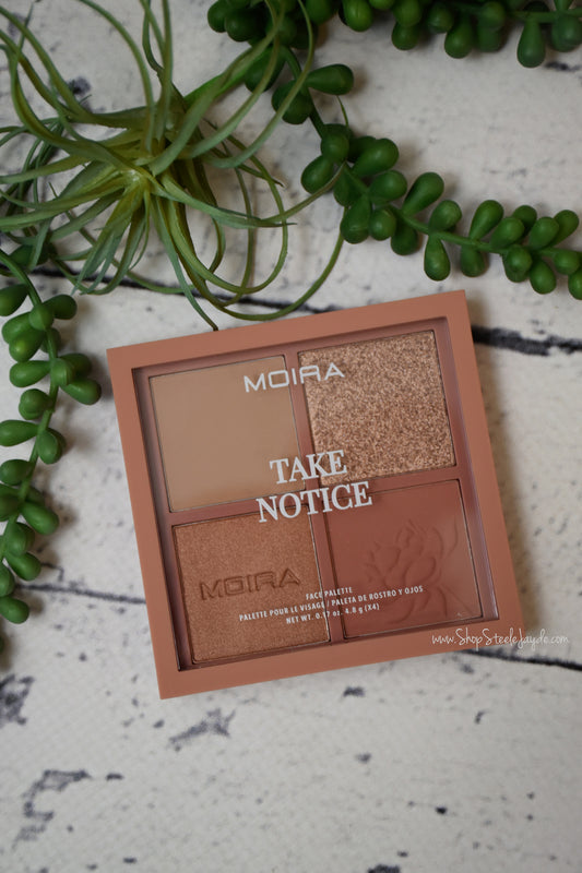 Take Notice Face Palette